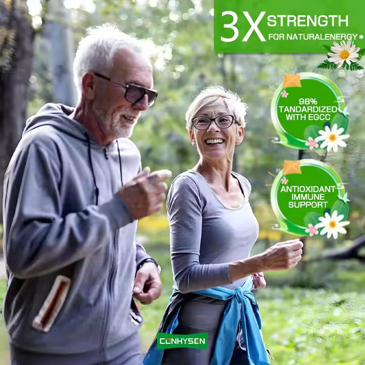 OEM ODM Capsules de thé vert biologique pour le métabolisme