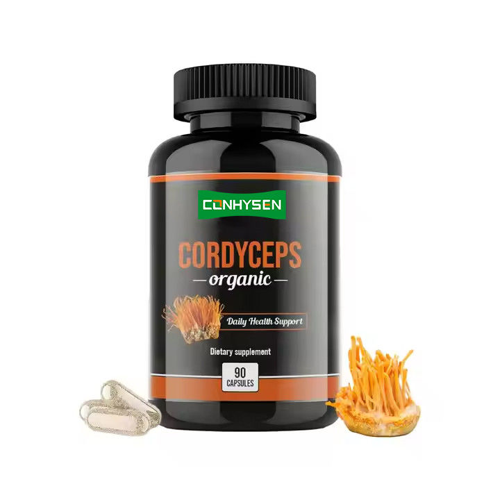 OEM ODM Capsules de cordyceps organiques favorisent la fonction cérébrale Capsules de supplément à base de plantes