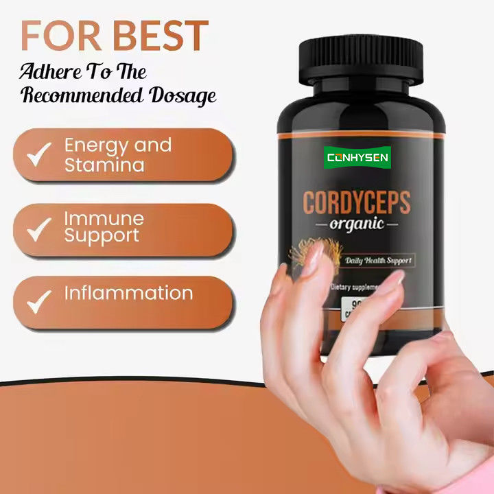 OEM ODM Capsules de cordyceps organiques favorisent la fonction cérébrale Capsules de supplément à base de plantes