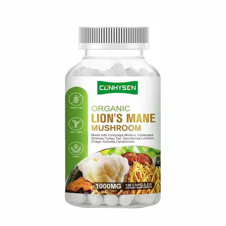 OEM Capsules de crinière de lion biologique avec complément de queue de dinde soutient la mémoire Santé du cerveau