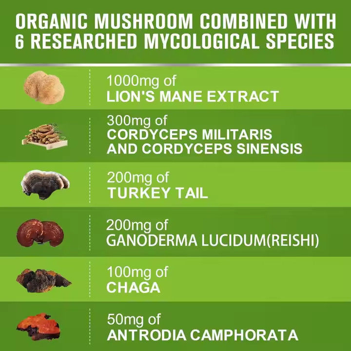 OEM Capsules de crinière de lion biologique avec complément de queue de dinde soutient la mémoire Santé du cerveau