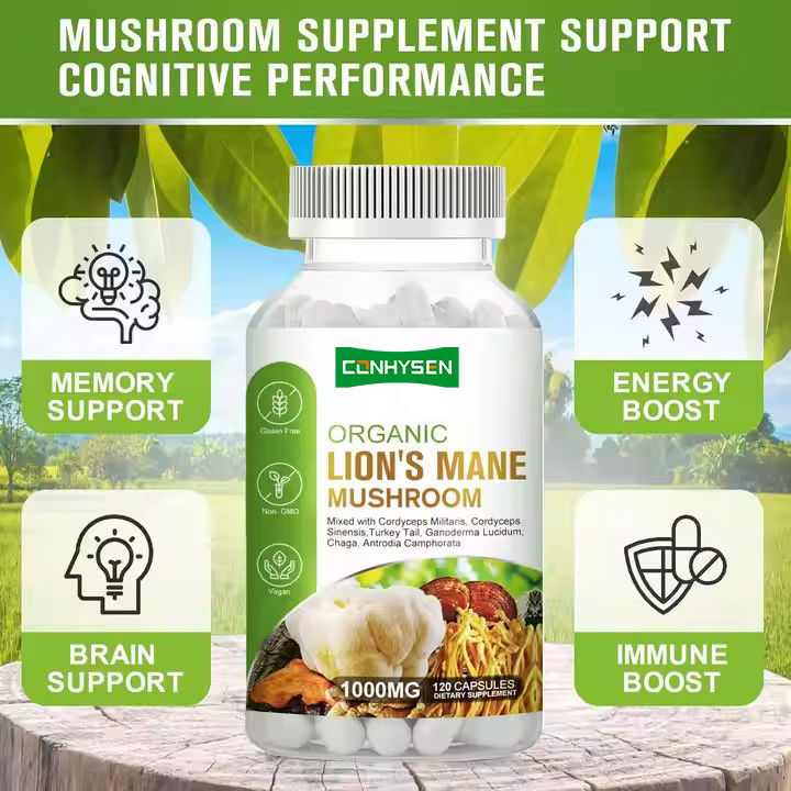 OEM Capsules de crinière de lion biologique avec complément de queue de dinde soutient la mémoire Santé du cerveau