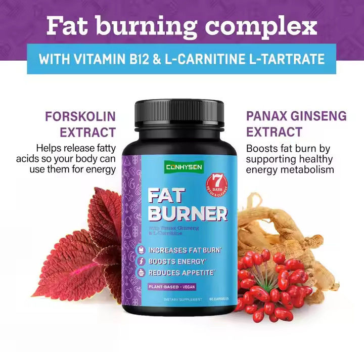 Capsules de brûleur de graisse avec vitamine B12 L-carnitine L-tartrate réduit l'appétit