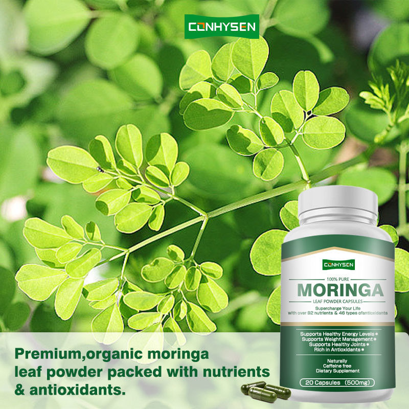 Capsules de Moringa 100% pures sur mesure pour soutenir la gestion du poids