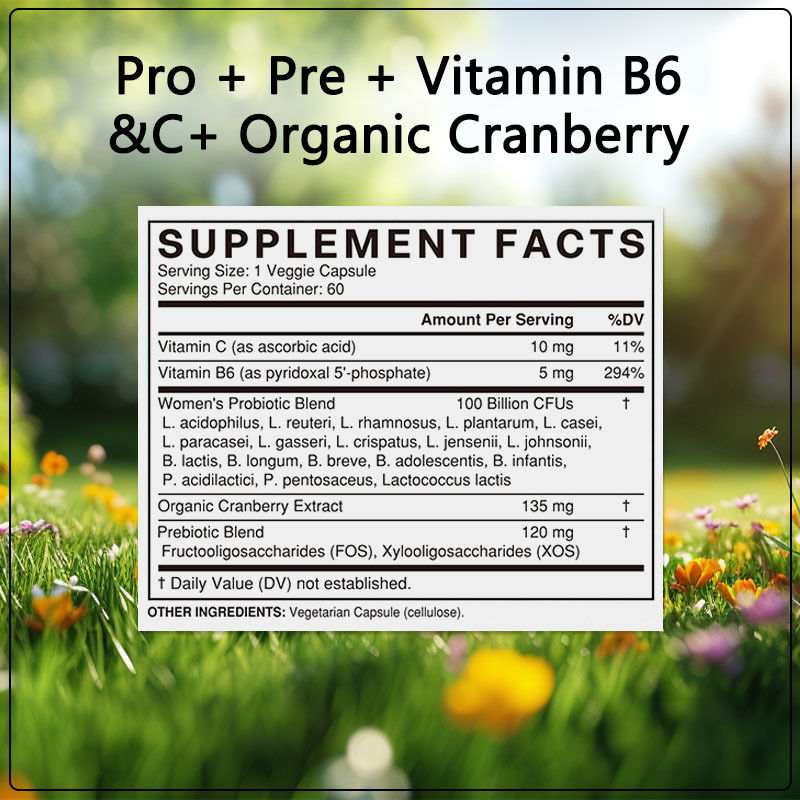 Gélules de probiotiques pour femmes OEM / ODM Optimisent la flore vaginale Non OGM Premium 5-en-1 pour femmes