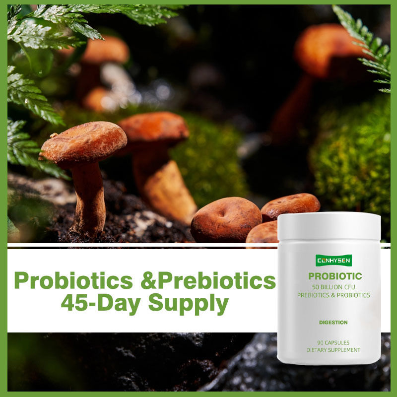 Étiquettes privées Probiotiques Capsules favorisent une meilleure digestion avec un mélange botanique organique fermenté