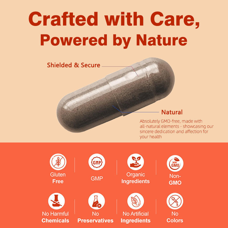 Non OGM Saw Palmetto Capsules 500 mg Appui complexe équilibre hormonal Santé des cheveux