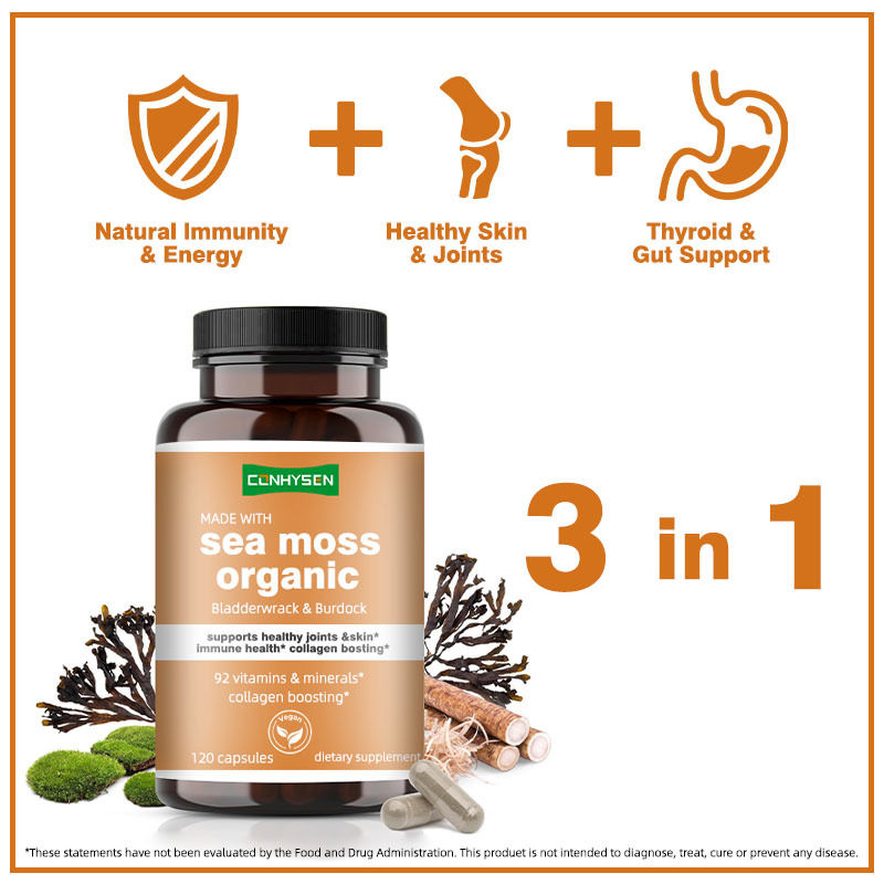 Capsules de mousse de mer biologique avec déchirure de la vessie