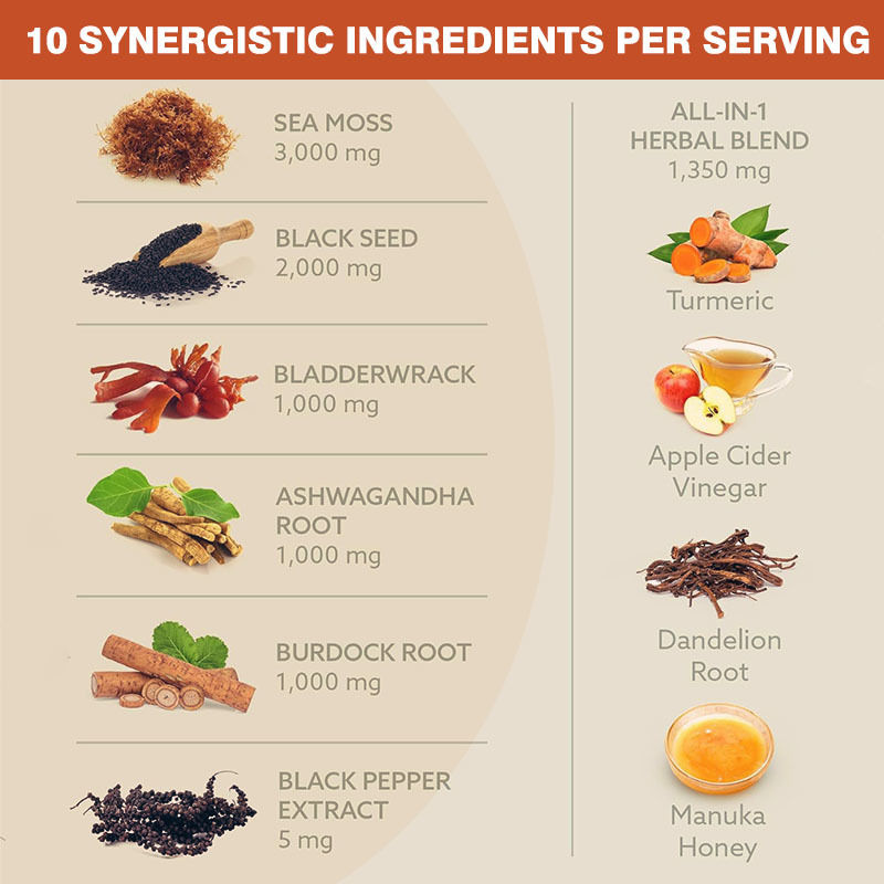 10-en-1 Capsules Quotidiennes de Sea Moss Blena pour l'Équilibre Émotionnel avec Ashwagandha