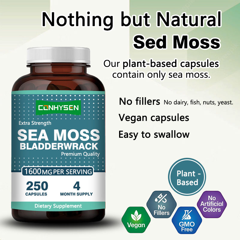 Capsules de mousse irlandaise biologique pour favoriser la santé intestinale