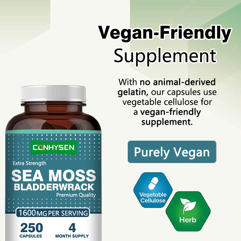 Capsules de mousse irlandaise biologique pour favoriser la santé intestinale