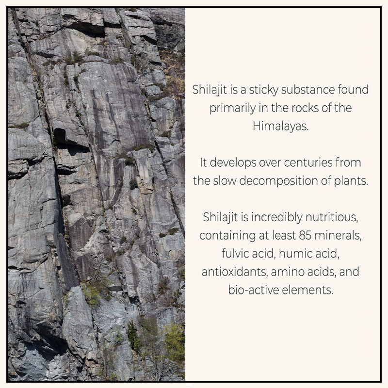 Gélules de Shilajit avec Huile de Graines Noires et Sea Moss, Complément Alimentaire pour le Soutien Immunitaire