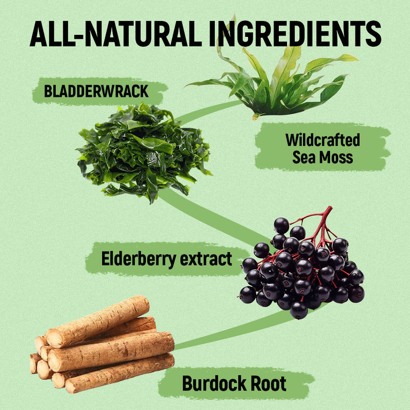 Des gommes de mousse de mer avec de la vitamine C fournisseur de zinc usine pour le soutien antioxydant