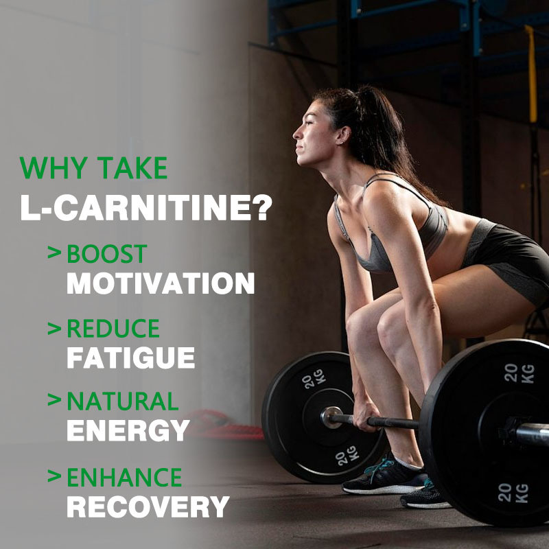 Personnalisation en gros de shots liquides de L-Carnitine : Favorise le métabolisme des graisses et la production d'énergie