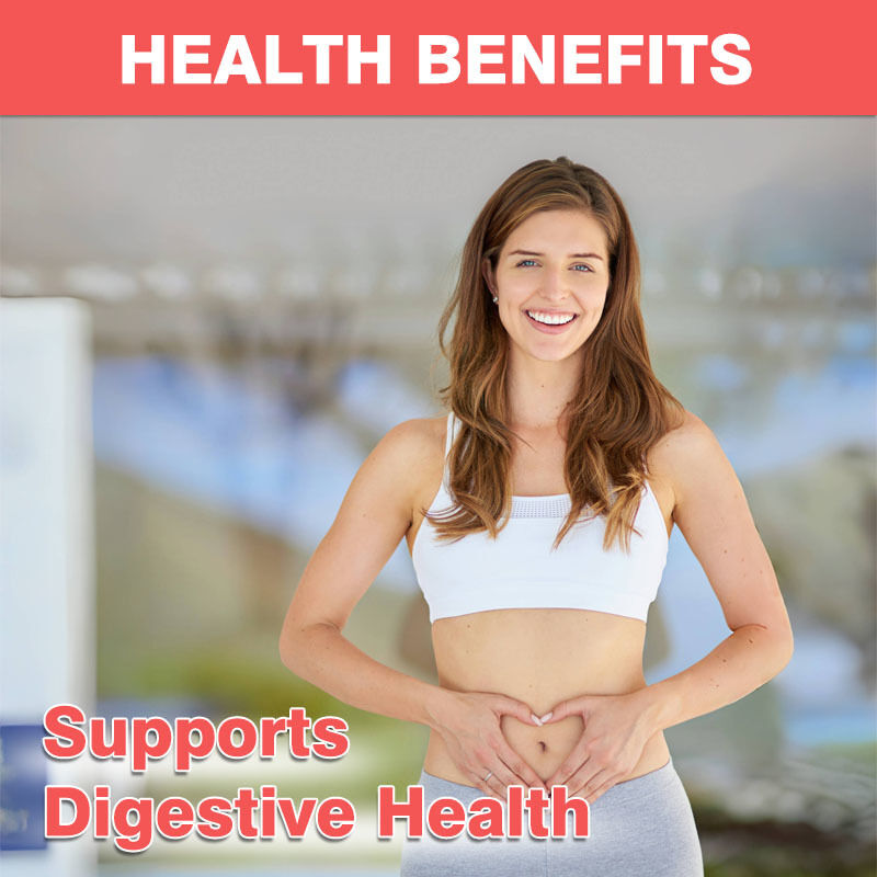 Gommes prébiotiques et probiotiques 4g OEM/ODM, 60 milliards d'UFC, stimulant l'immunité, améliorant la santé intestinale avec des propriétés antioxydantes pour adultes