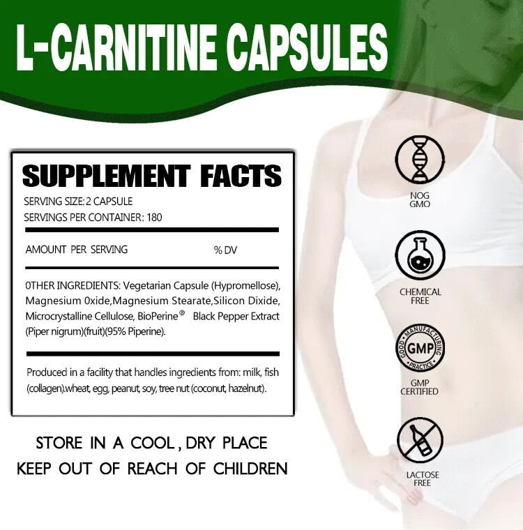 Suppléments alimentaires à marque privée L-carnitine Fumarate Lotus Leaf Perte de poids Perte de poids Capsules de L-carnitine Fibre alimentaire