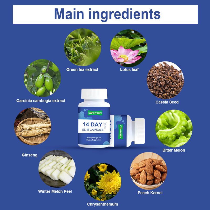 Complément alimentaire détoxifiant en capsules pour la perte de poids et le soutien de la santé digestive, marque privée, 14 jours