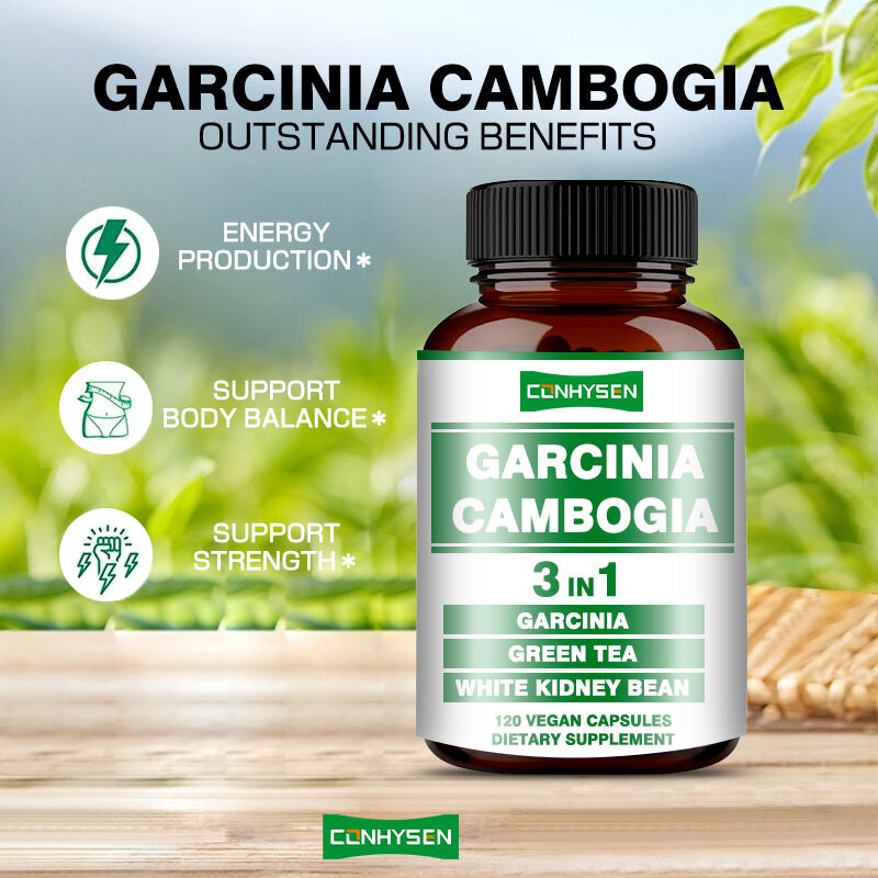 OEM Garcinia Cambogia Capsules pour la production d'énergie soutient l'équilibre du corps Capsules de fibres alimentaires Perte de poids