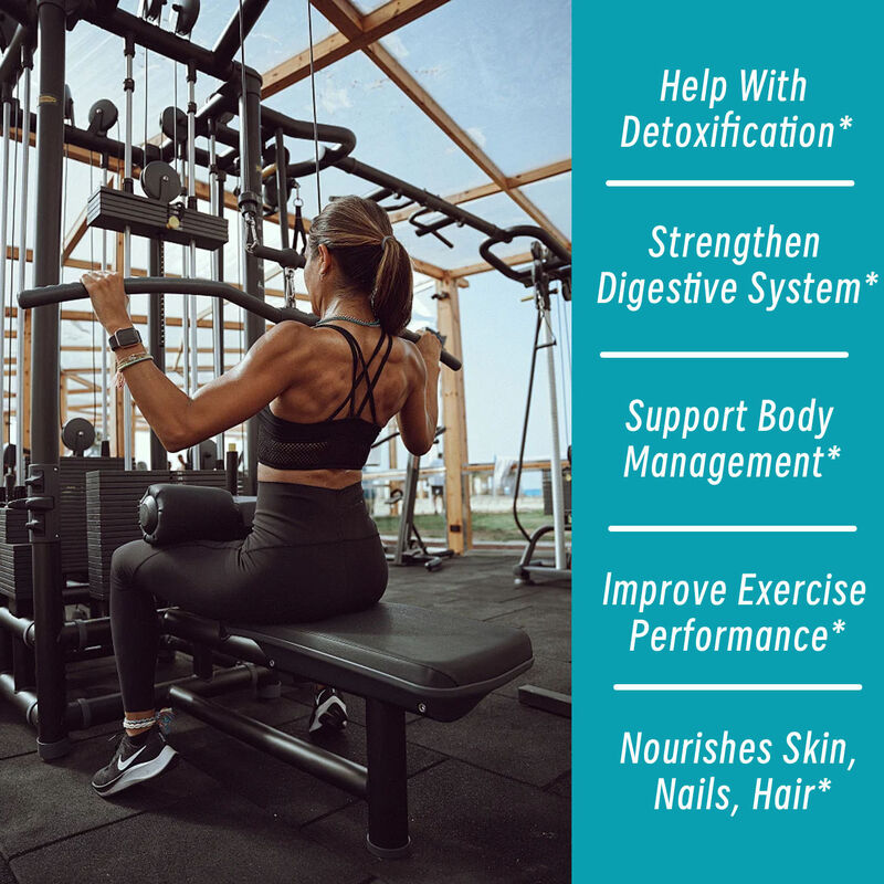 OEM Marque privée Keto ACV BHB Capsules pour stimuler le métabolisme 1400 mg de vinaigre de cidre de pomme pour le contrôle du poids