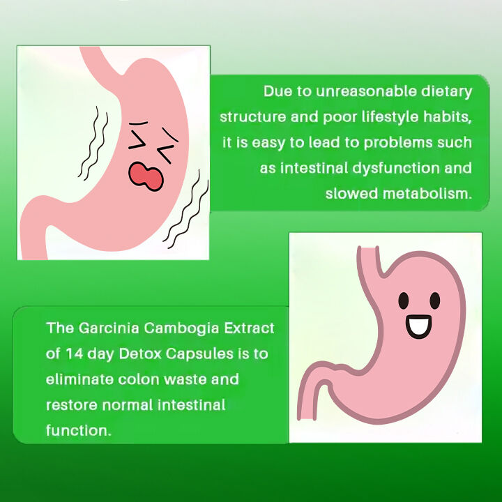 Capsule minceur OEM ODM 14 jours, coupe-faim à action rapide et pilules brûle-graisse pour adultes, fibres alimentaires