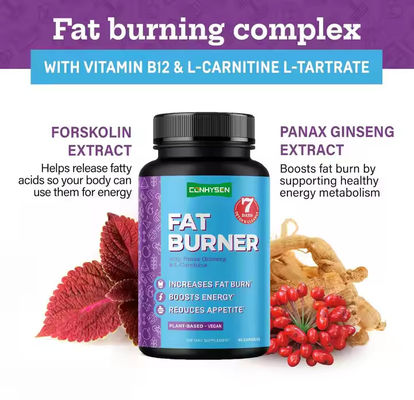 Capsules de brûleur de graisse avec vitamine B12 L-carnitine L-tartrate réduit l'appétit