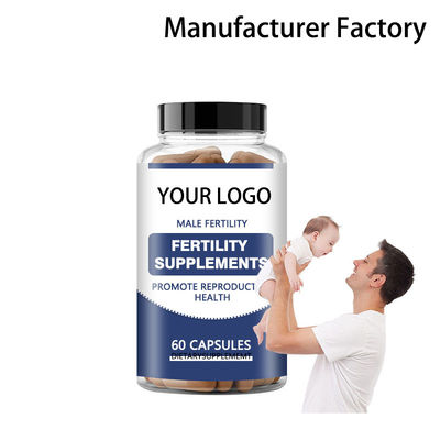 Capsules de fertilité masculine Prénatale Fertilité L-carnitine Zinc et vitamine