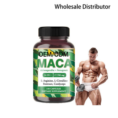 OEM ODM Herbes Gélules de Maca Racine Vitalité Masculine Compléments à Base de Plantes